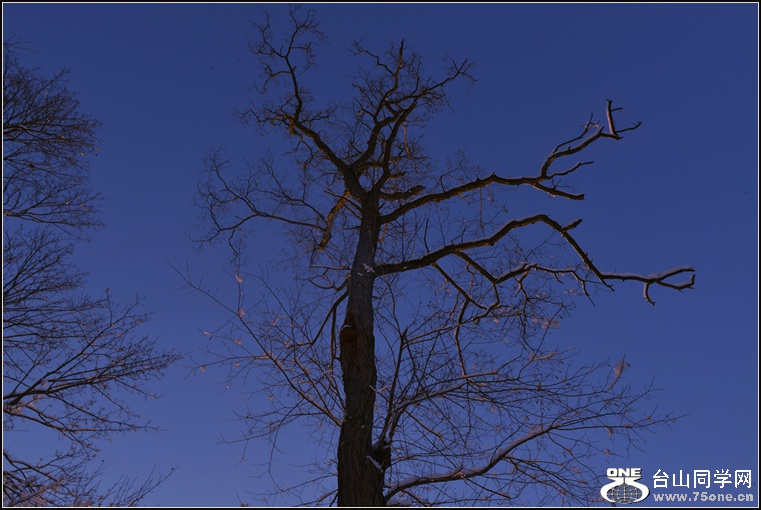DSC_2347.jpg