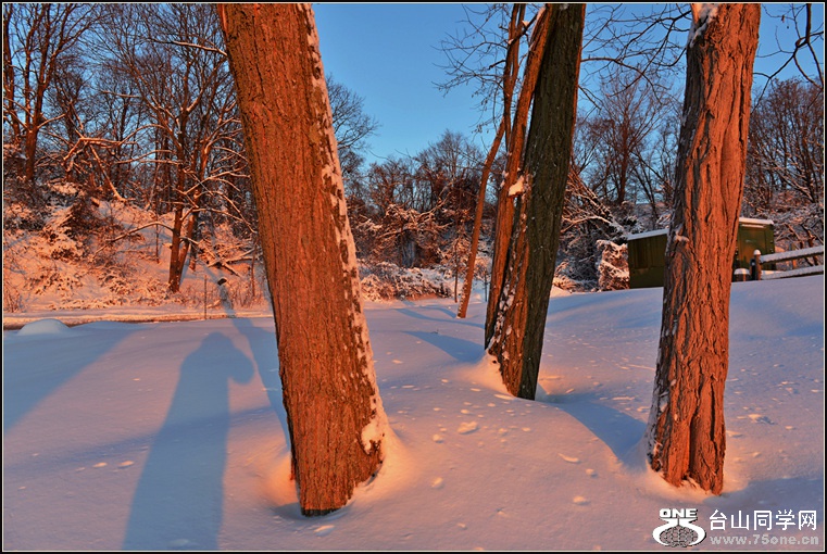 DSC_2232.jpg