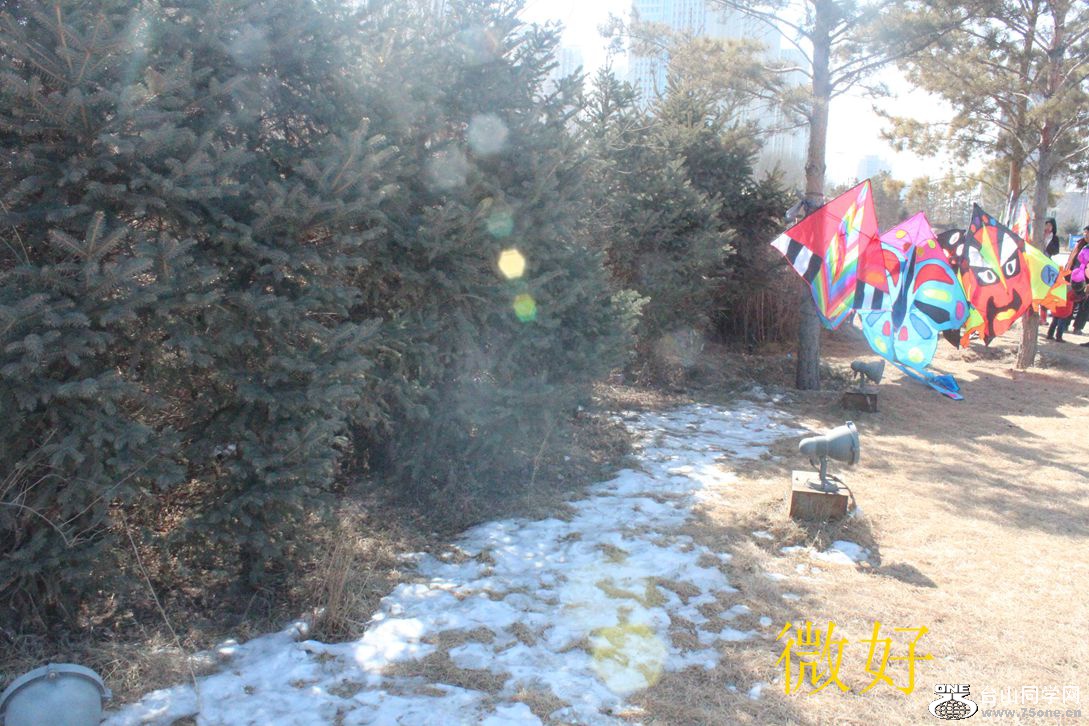 IMG_4966_.jpg