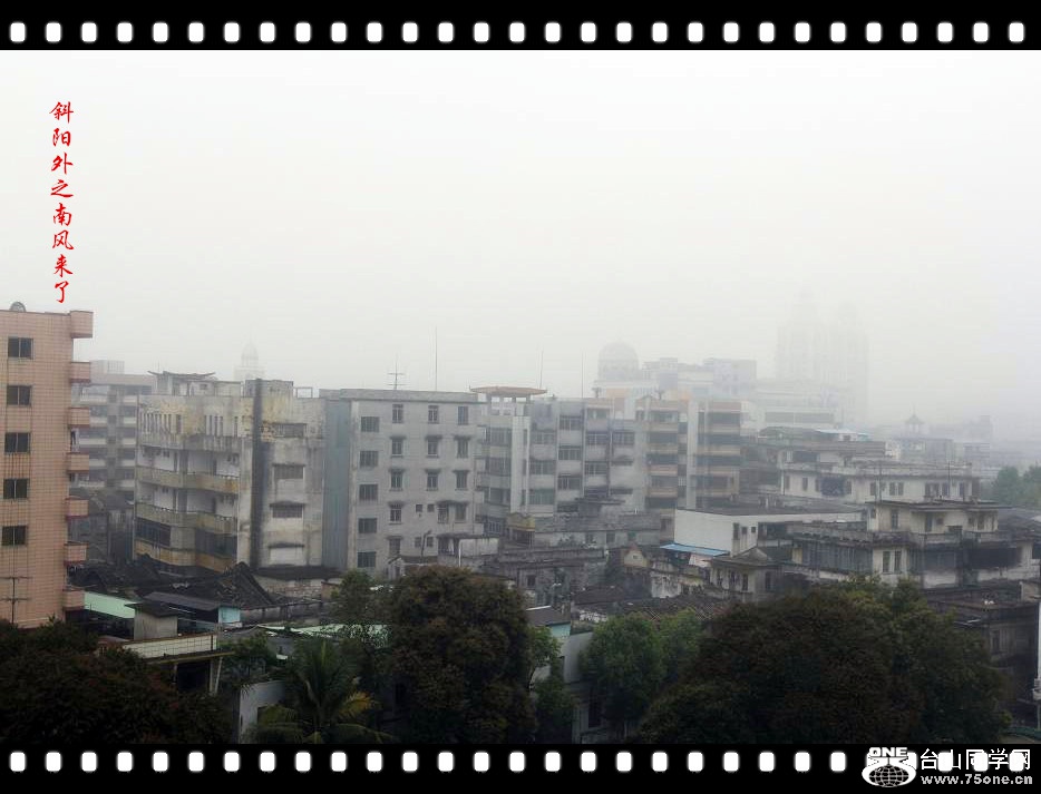 _MG_3330_.jpg