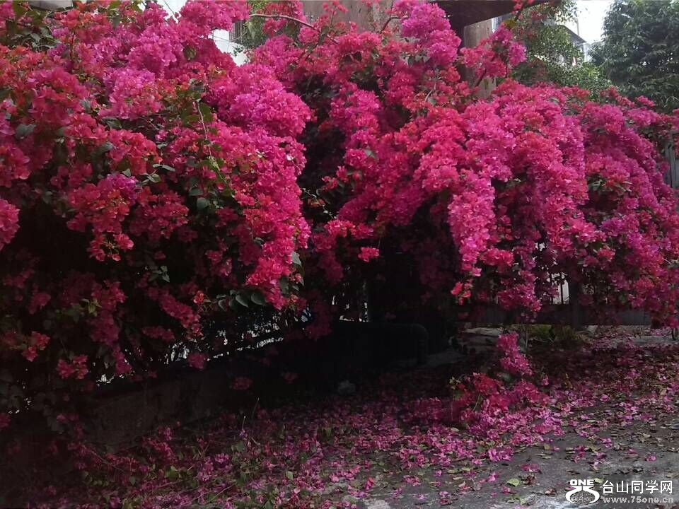 QQͼƬ20150308145834_.jpg