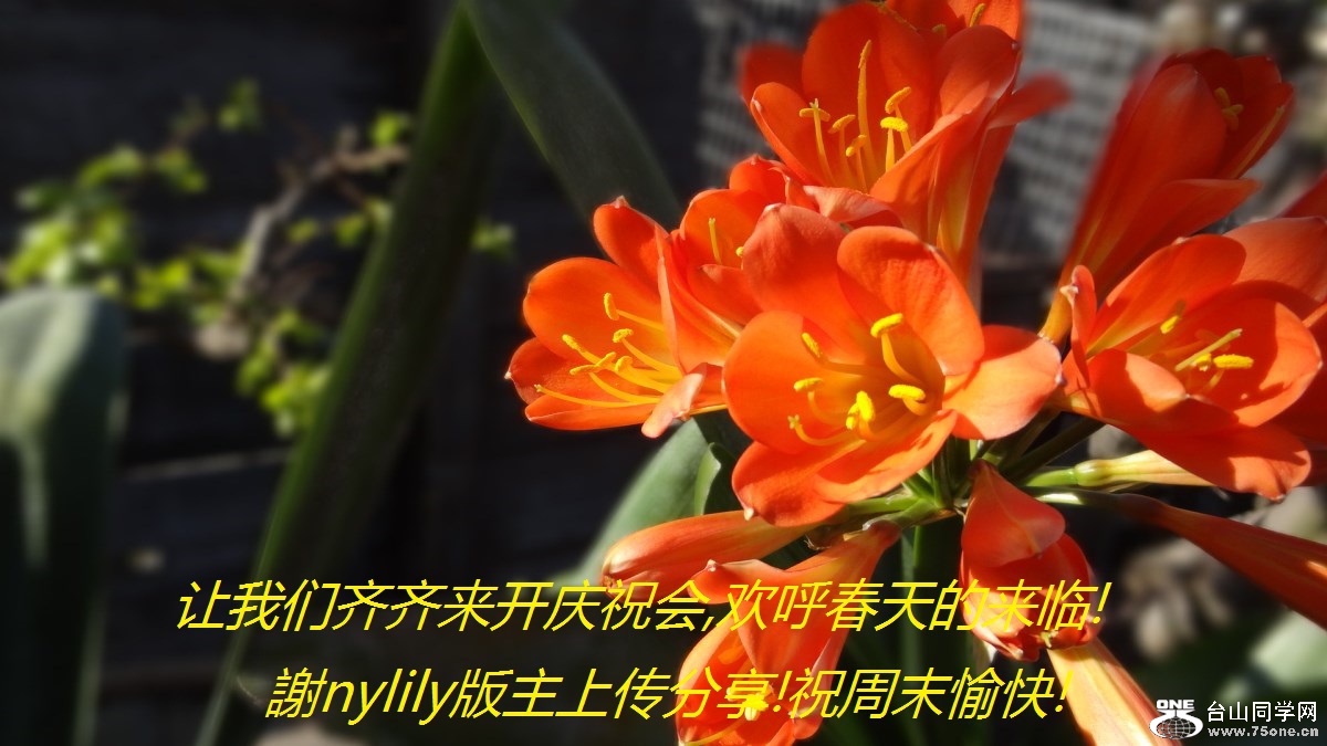 ף,!xnylilyϴ!ףĩ!.jpg