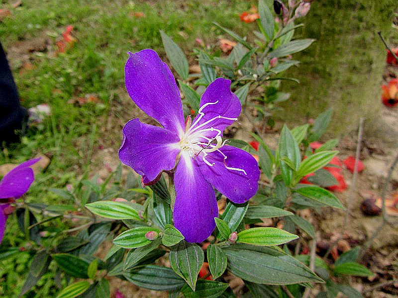 IMG_0221.jpg