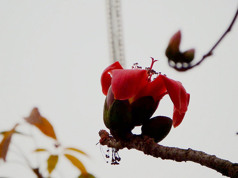 ��_0156.jpg