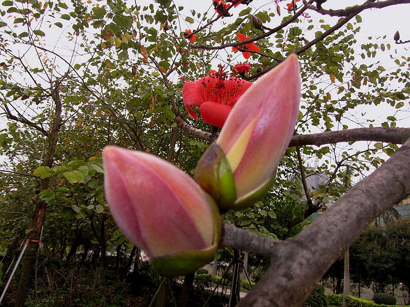 ��_0213.jpg