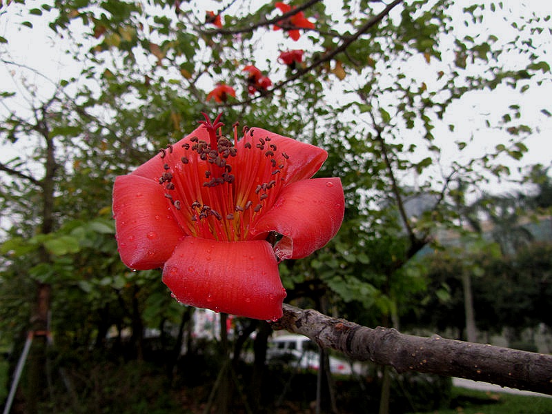��_0212.jpg