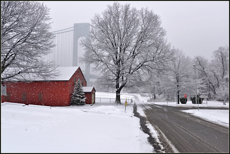 DSC_2050.jpg