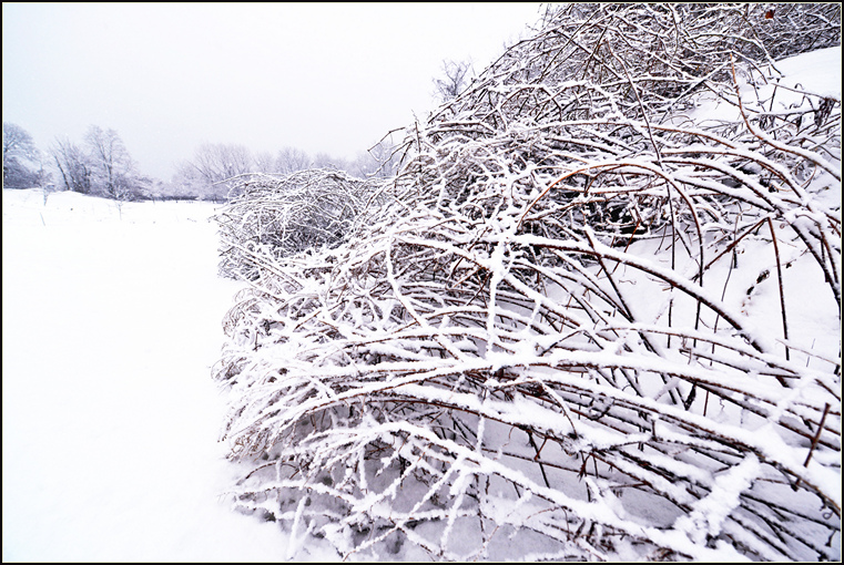 DSC_2060.jpg