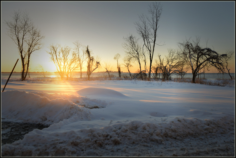 DSC_2303_.jpg