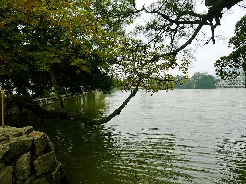 ��_0172.jpg