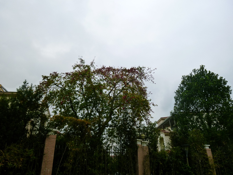 ��_0048.jpg