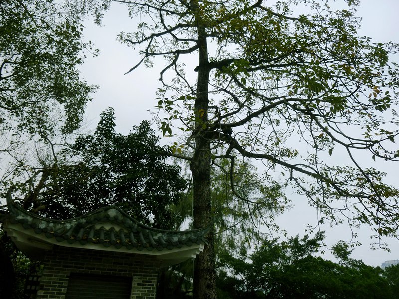 ��_0168.jpg