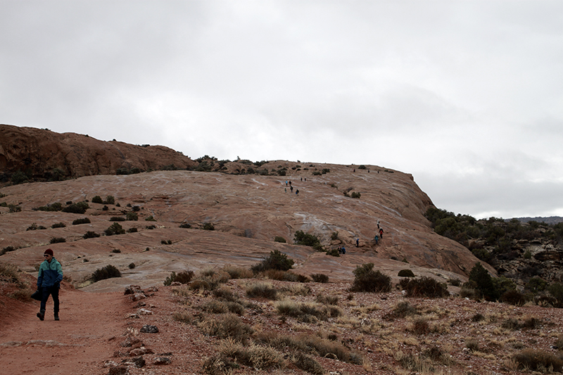 IMG_6091-1.jpg