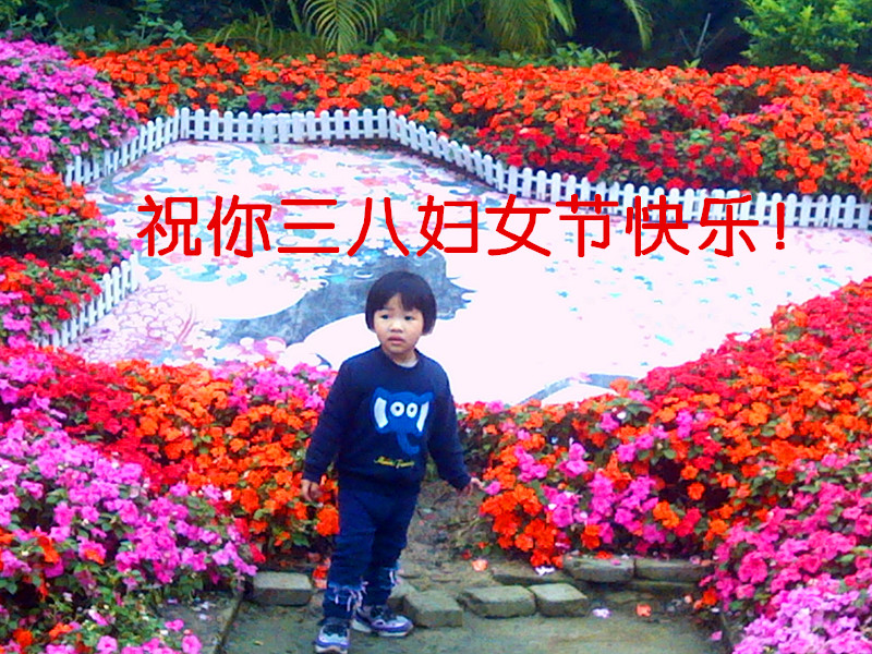 IMG_20150307_151426.jpg