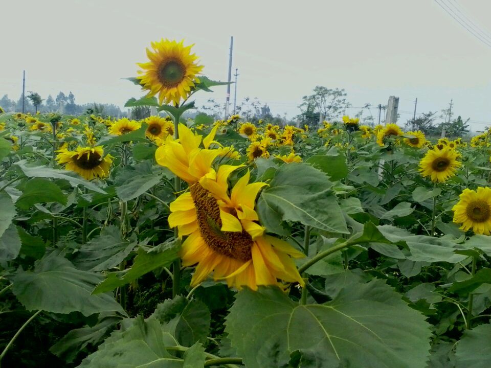 20150310200851.jpg
