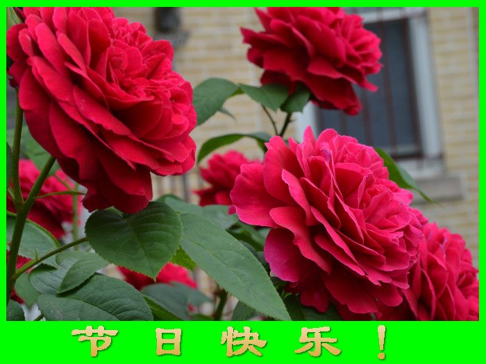 δ_meitu_15.jpg