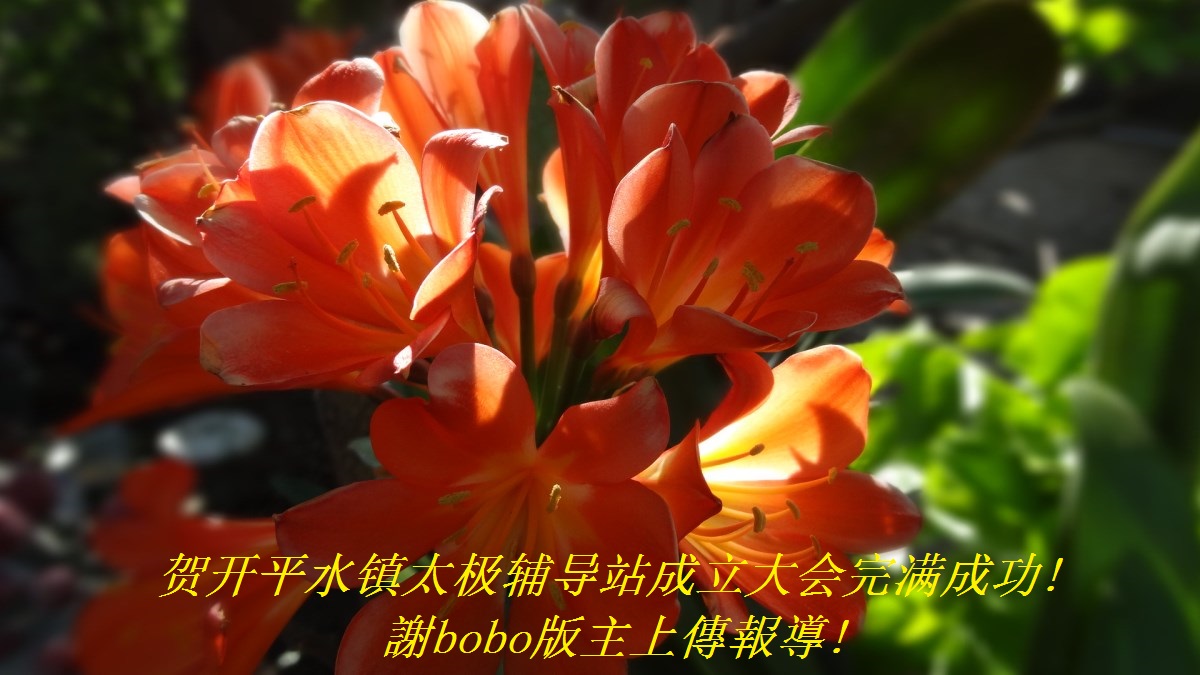 ؿƽˮ̫վɹ!xboboς!.jpg