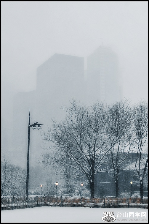 DSC_3875.JPG