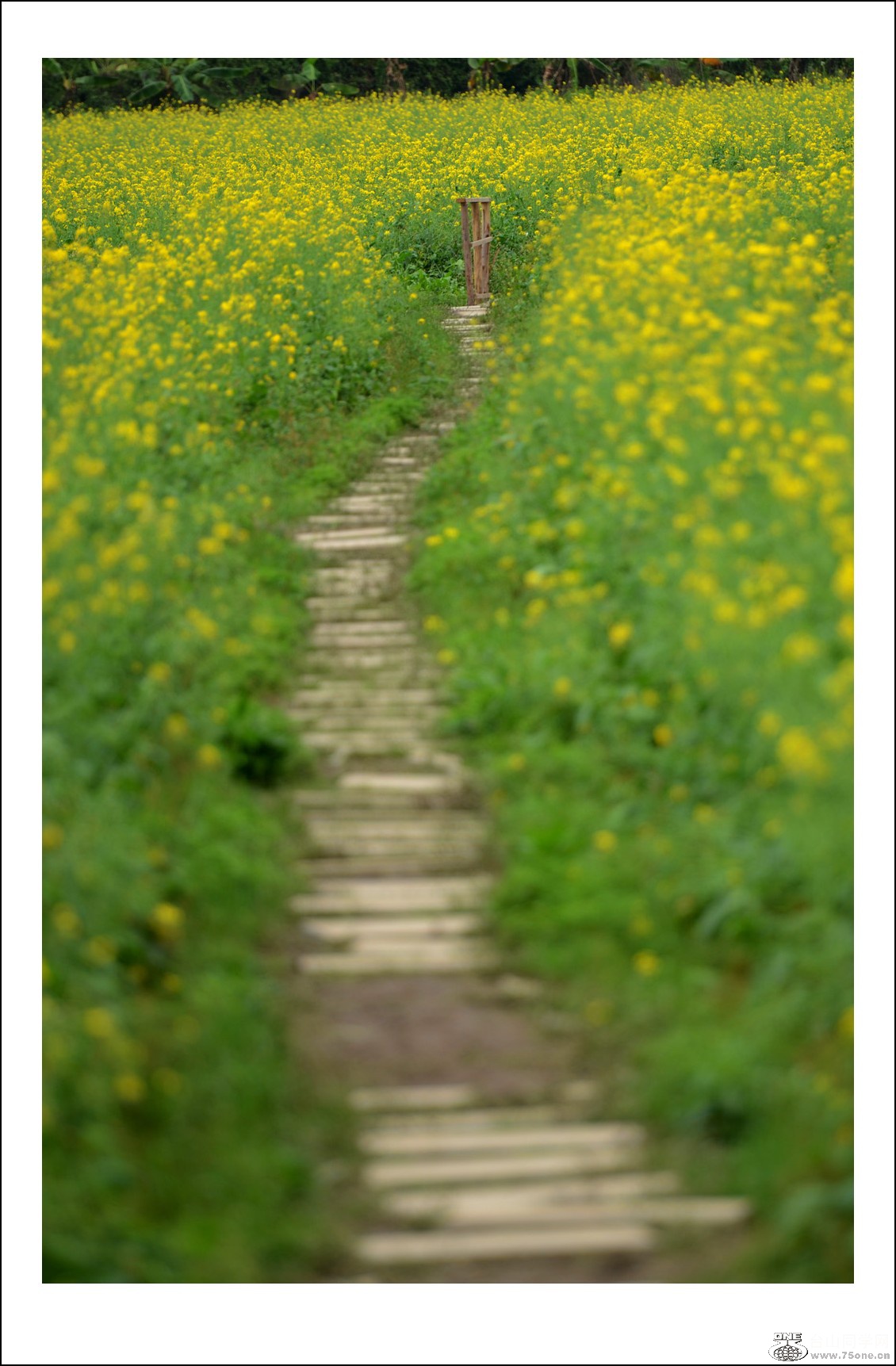 DSC_6543_conew1.jpg