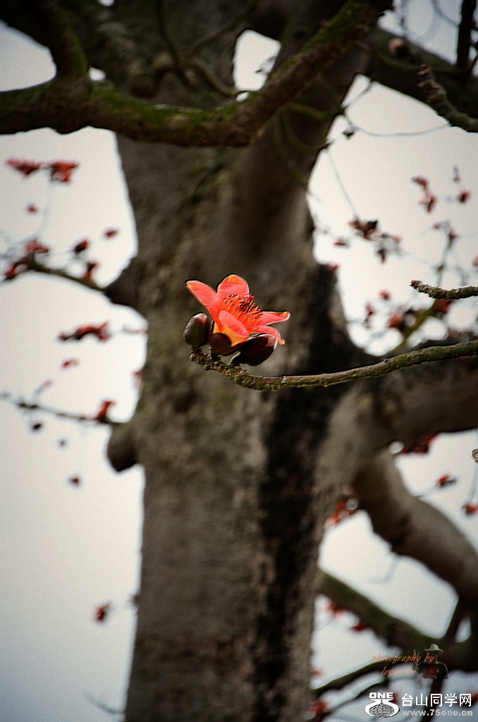 DSC_6959.jpg