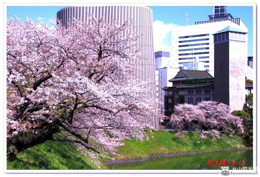 ӣ011.jpg