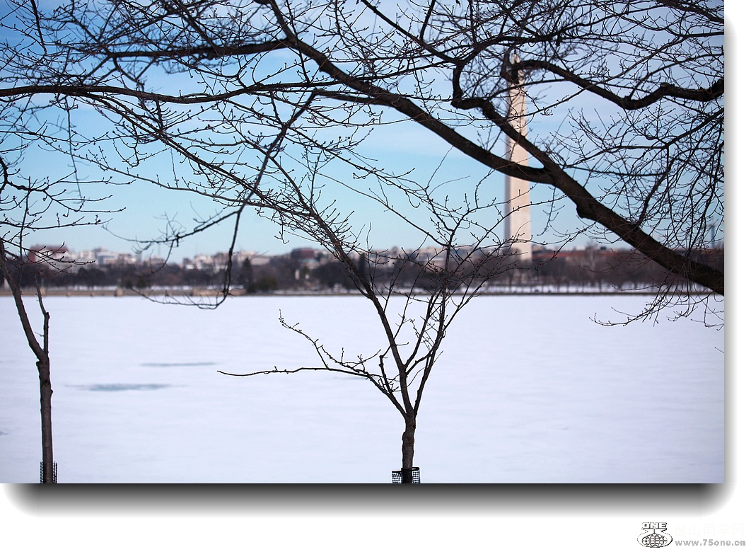 IMG_4920a.jpg