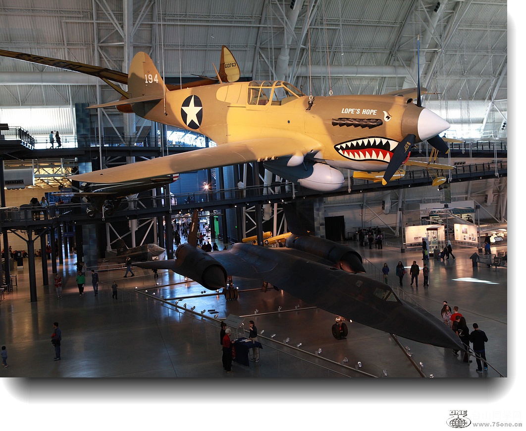 IMG_5211v.jpg
