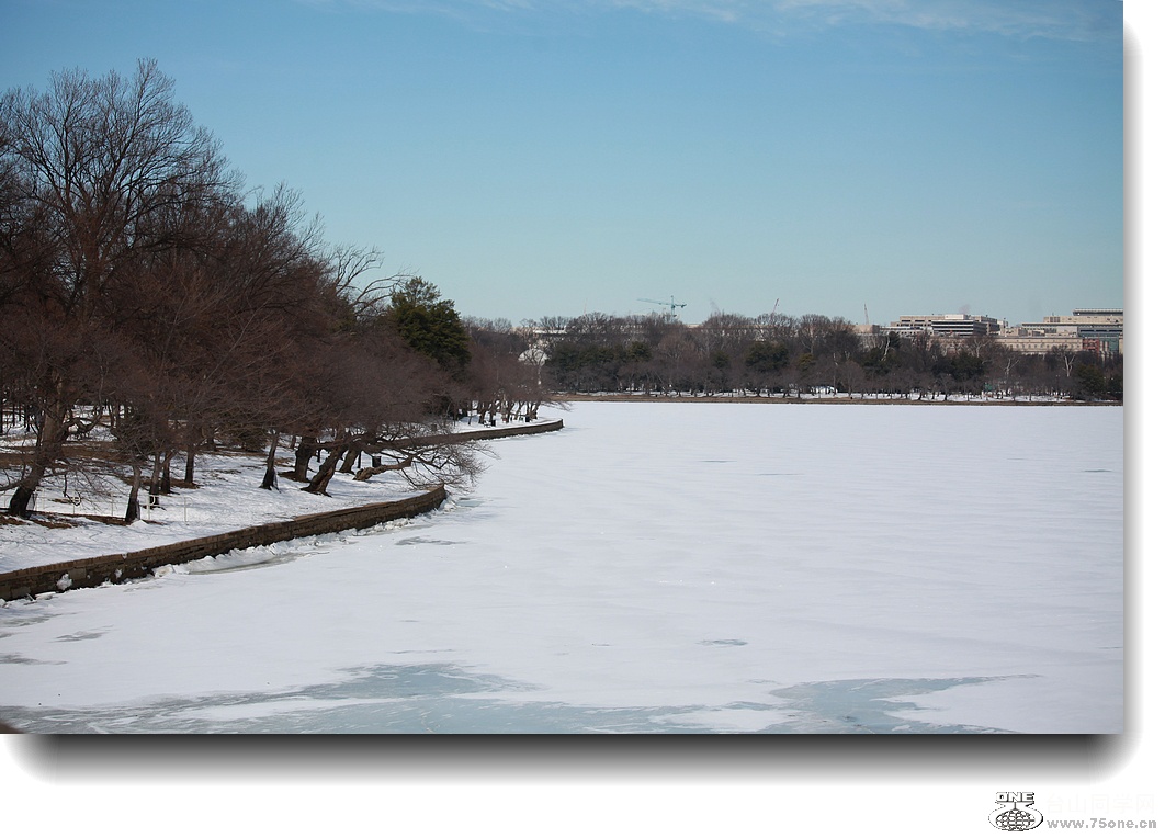 IMG_4948a.jpg