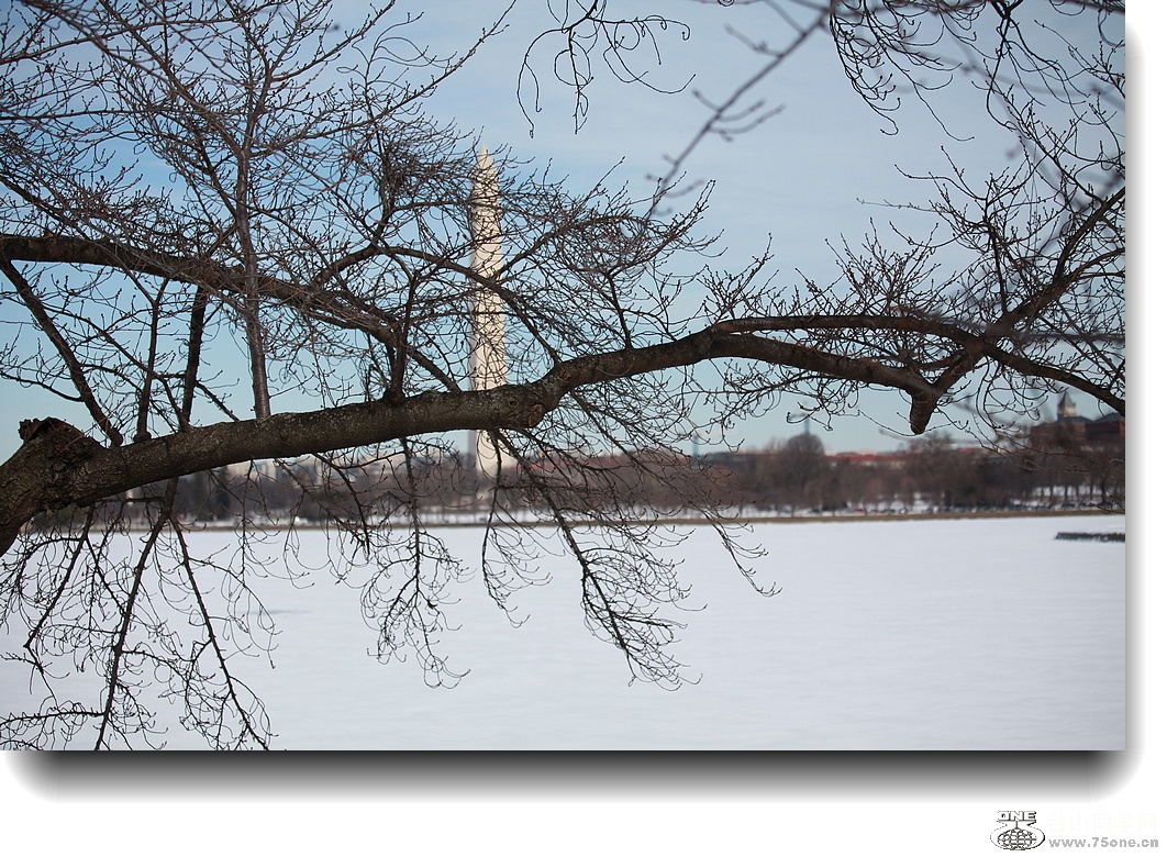 IMG_4931a.jpg
