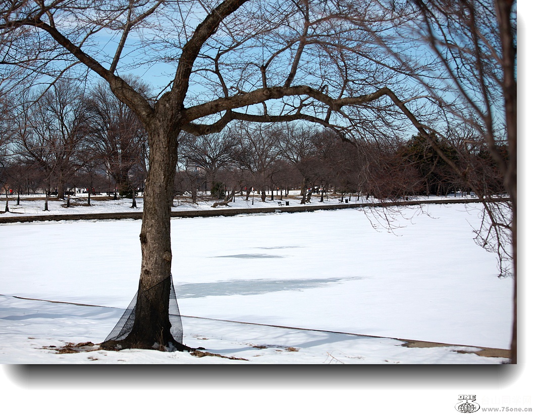 IMG_4933a.jpg