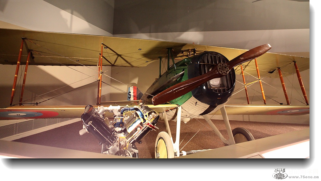 IMG_5135a.jpg