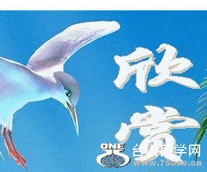 4525_a1641342921765e69f139e45972b3.gif