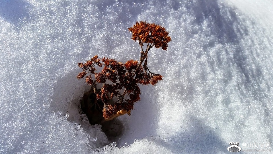 20150225_102212[2].jpg