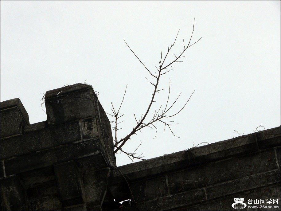 l2160615_conew2.jpg
