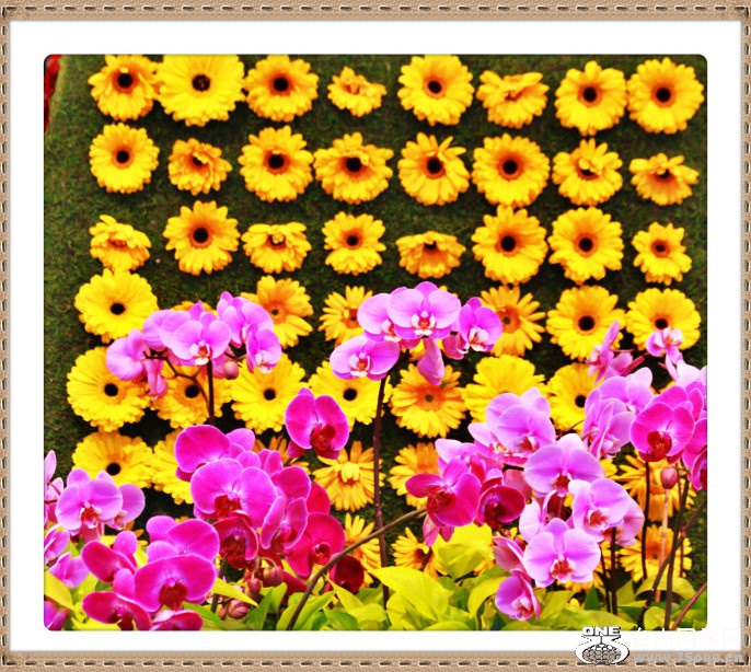 _MG_1710_meitu_2.jpg