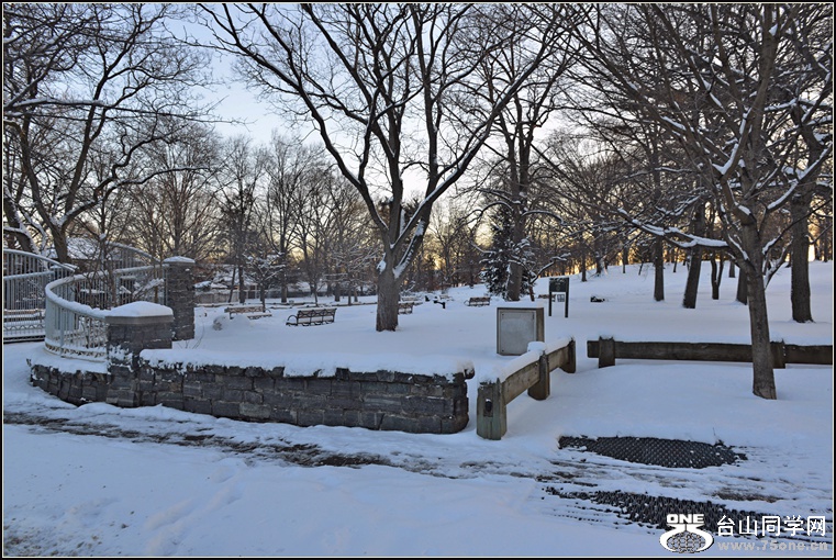 DSC_2388.jpg