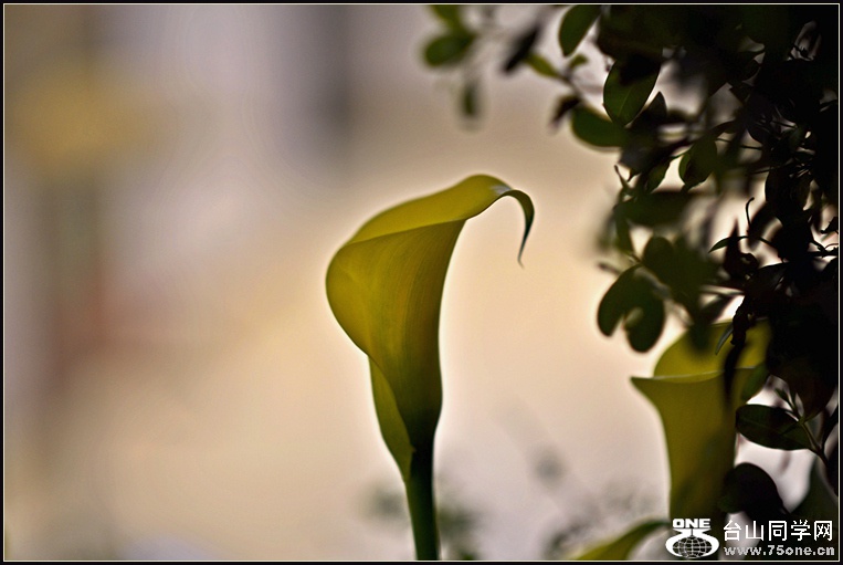 DSC_5733.jpg