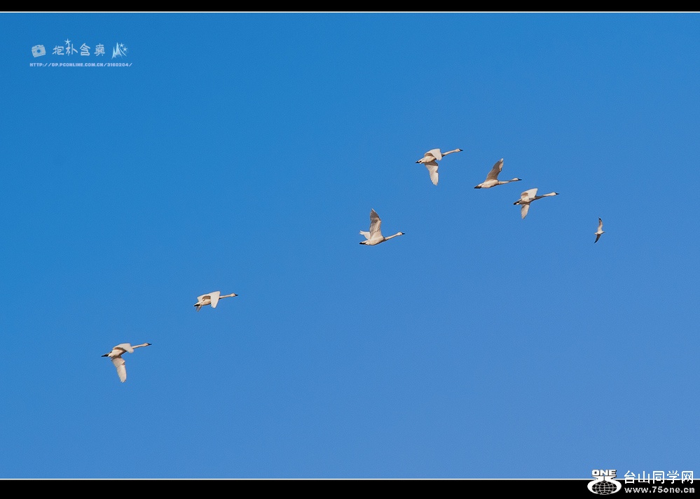 DSC_7764s.jpg