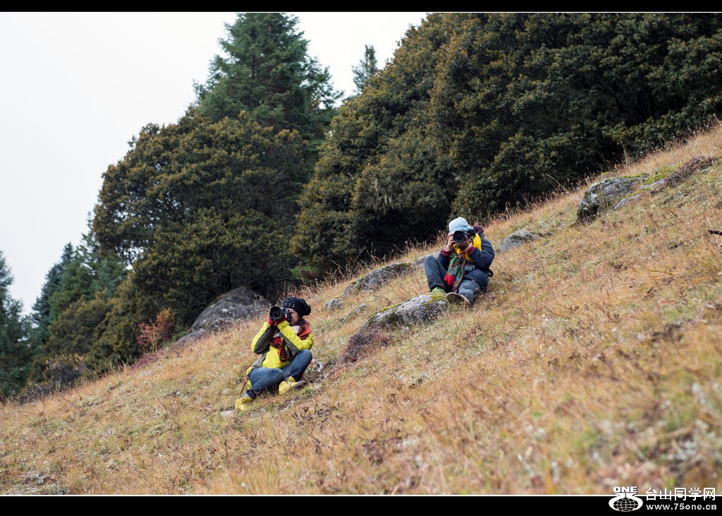 _DSC9488.jpg