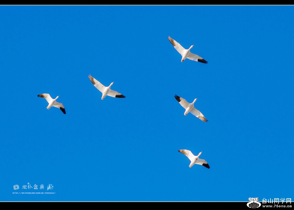 DSC_7982s.jpg