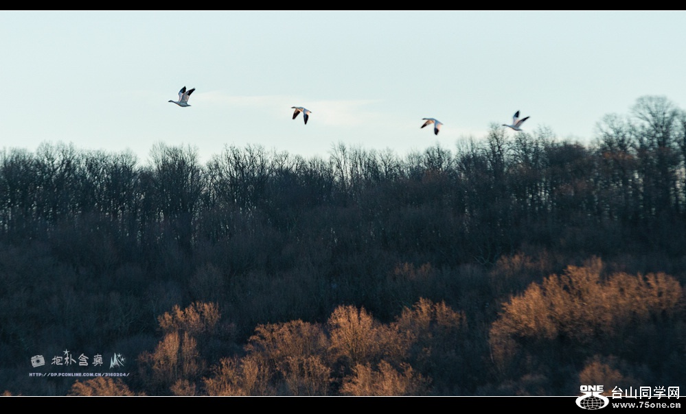 DSC_7632s.jpg