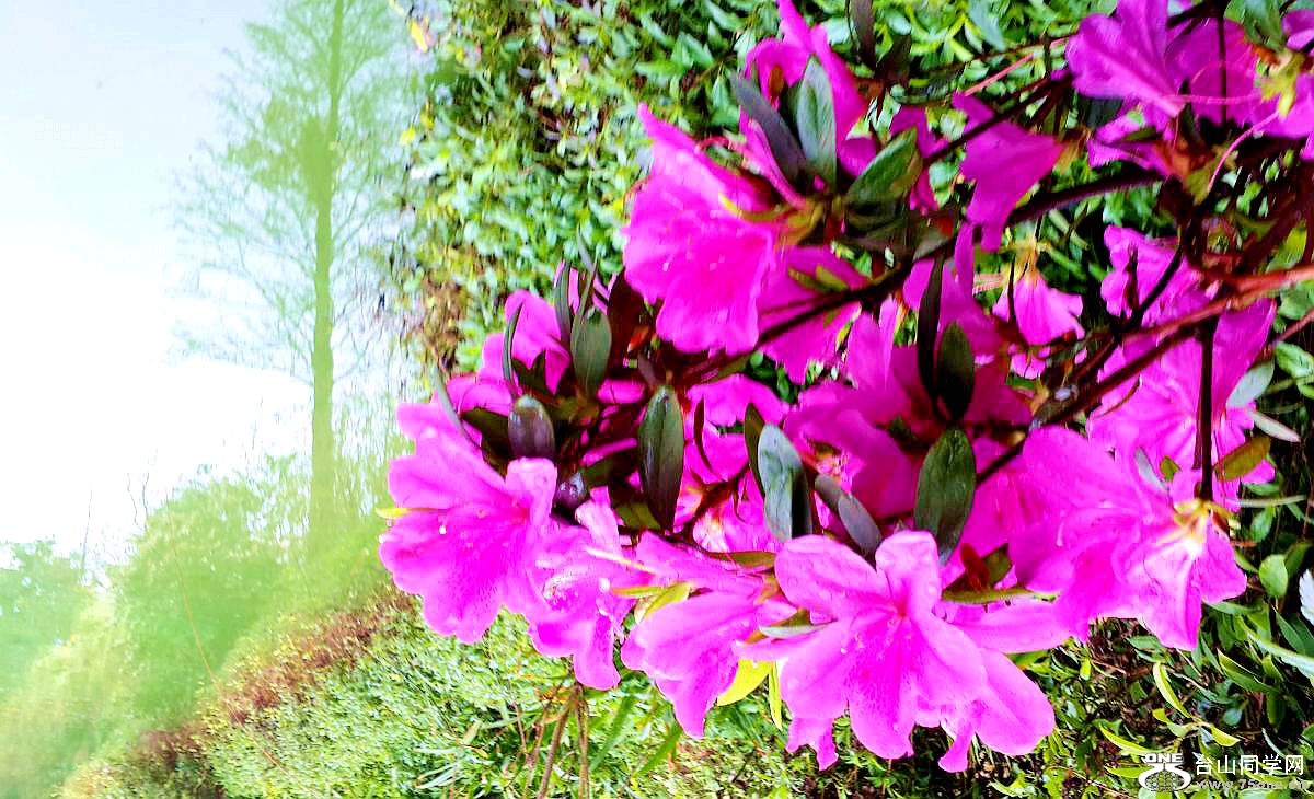 20150315_092640.jpg