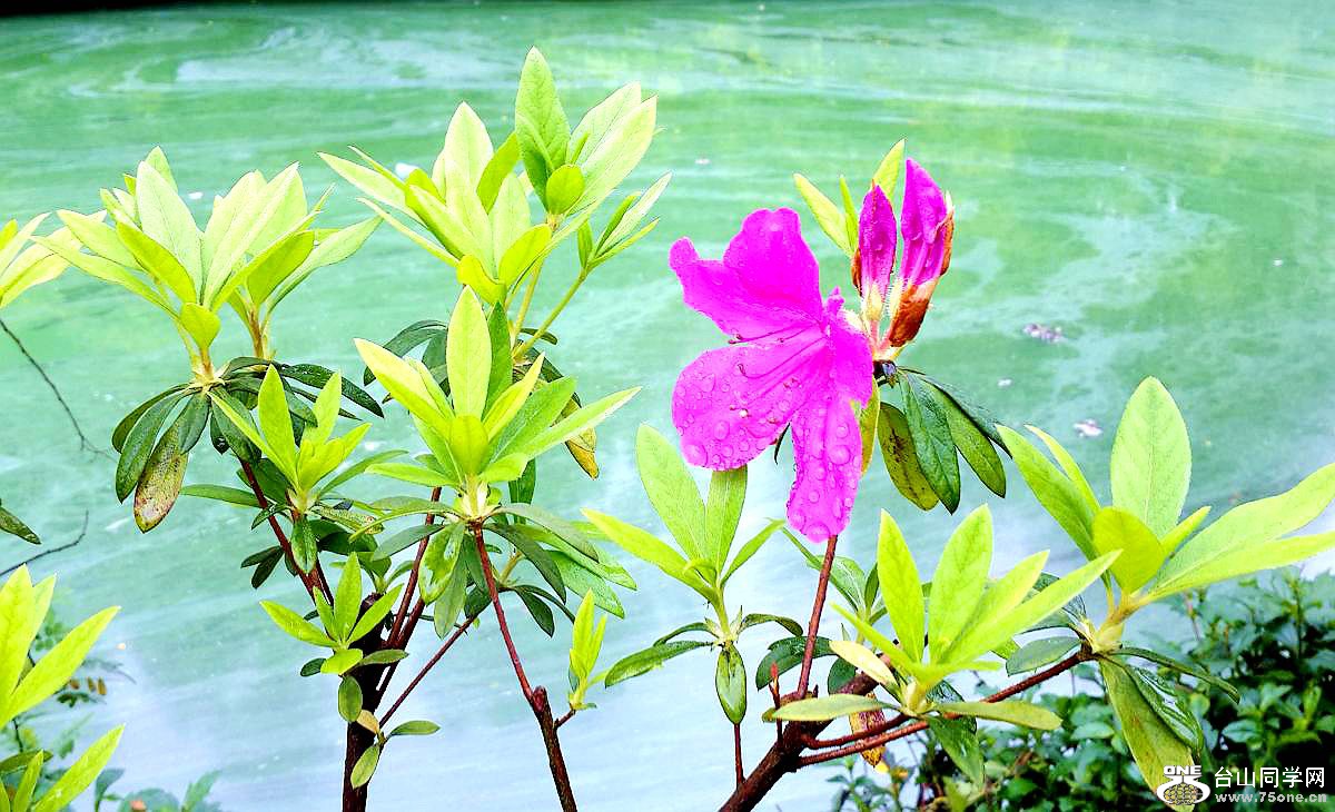 20150315_093345.jpg