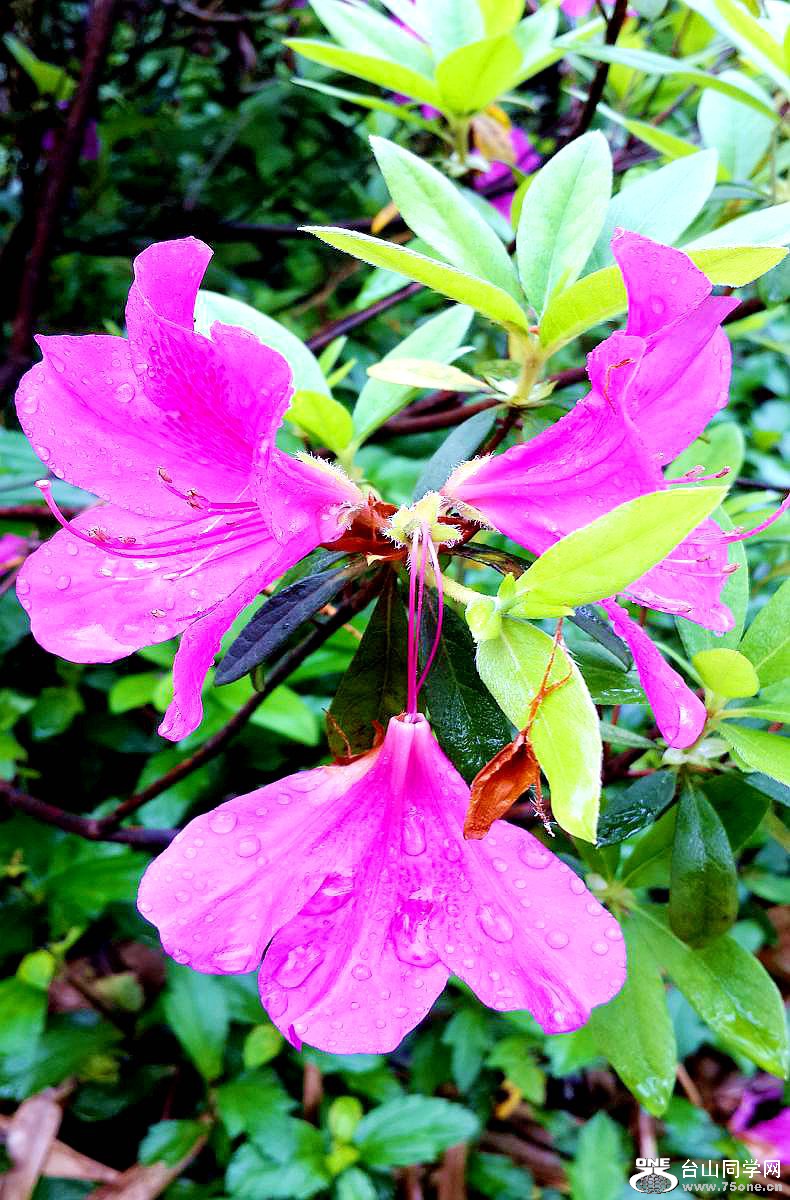 20150315_093312.jpg