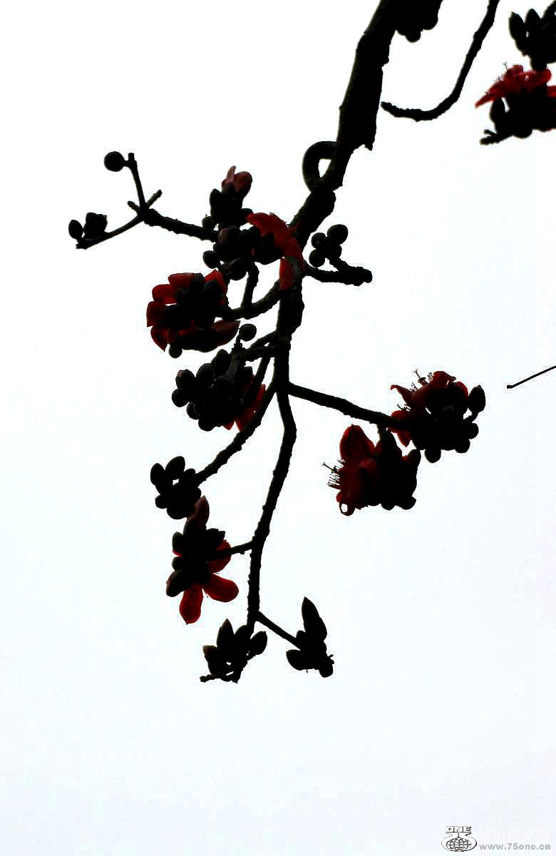 IMG_0024.JPG