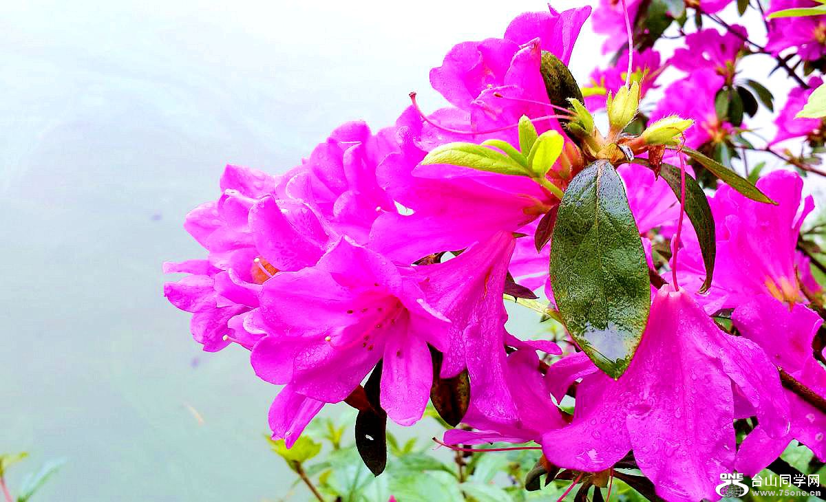 20150315_092724.jpg