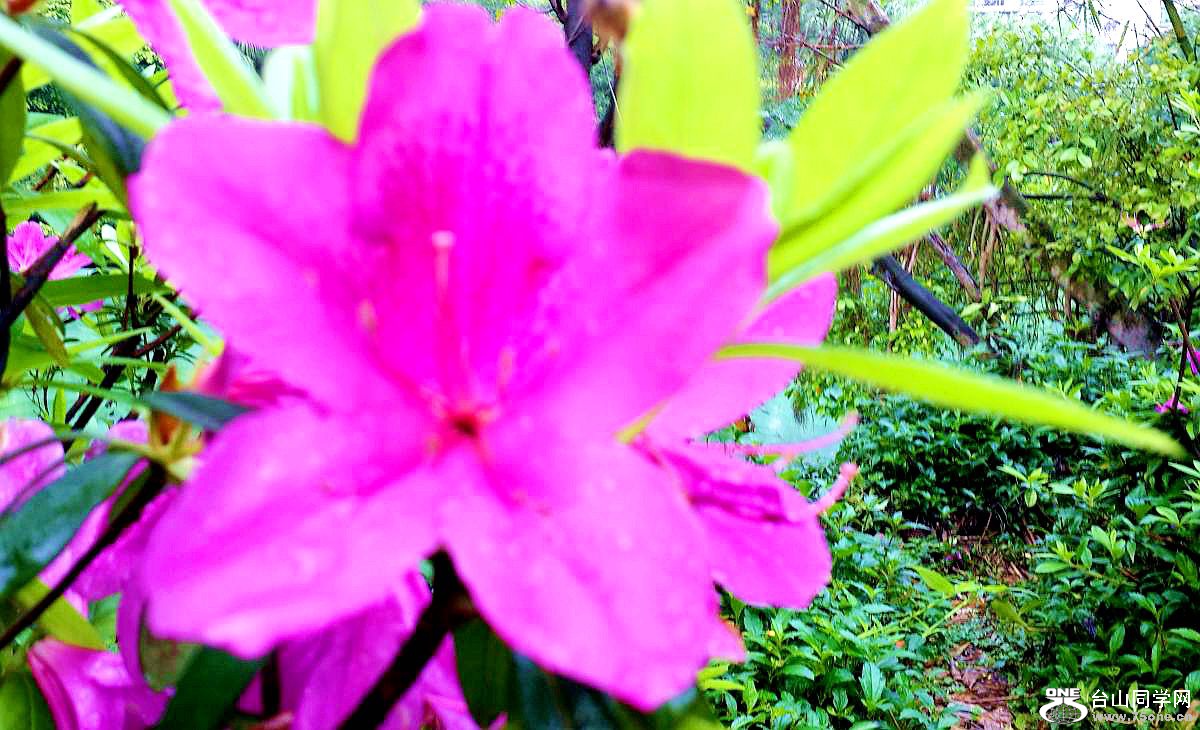 20150315_093123.jpg