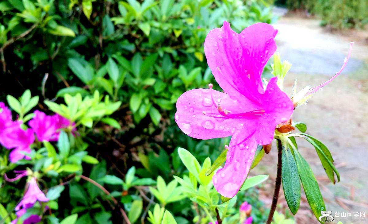 20150315_092825.jpg