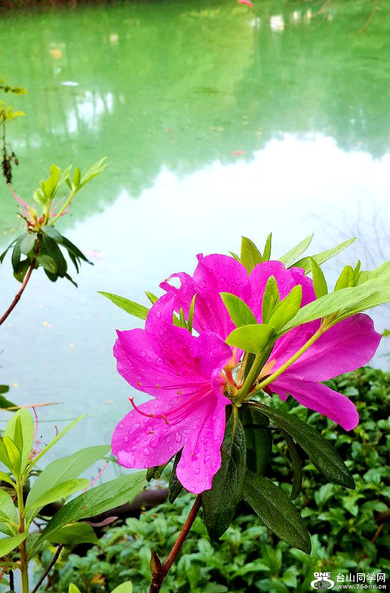 20150315_093443.jpg