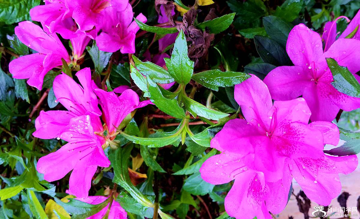 20150315_092645.jpg